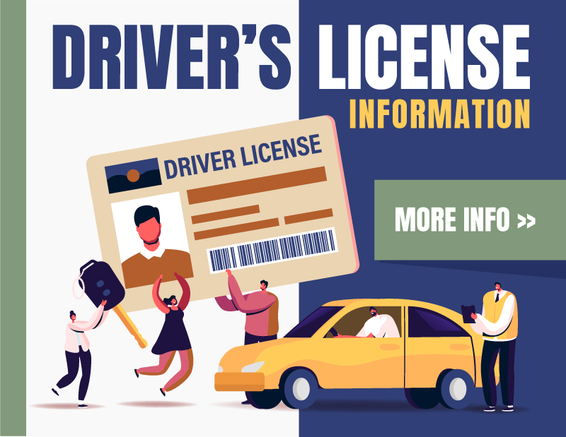 Drivers License Information